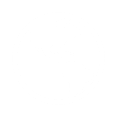 File upload test now